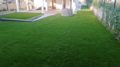 Local comercial en alquiler en Calle Dp-0813 - Vista 5