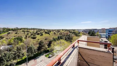 Loft in Calle de la Imprenta photo 30