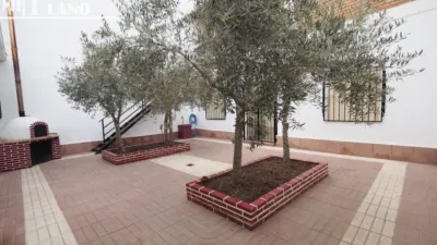 Miniatura 4