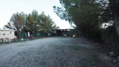 Miniatura 11