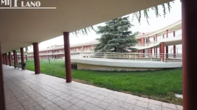 Miniatura 11