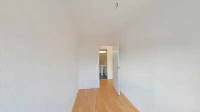 Apartment in Buenavista photo 14