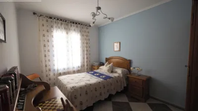 Miniatura 8