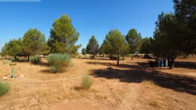 Miniatura 8