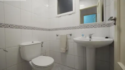 Miniatura 11