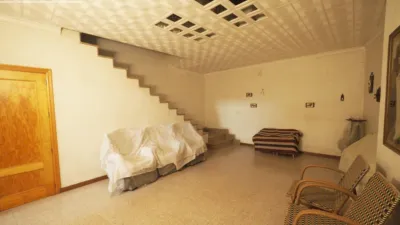 Miniatura 11