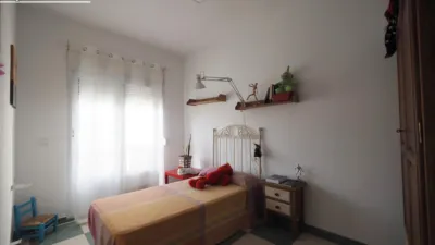 Miniatura 9
