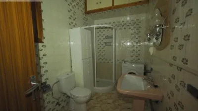 Miniatura 11