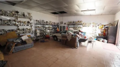 Miniatura 8