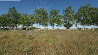Terreno en venta en Castilla La Mancha - Vista 3