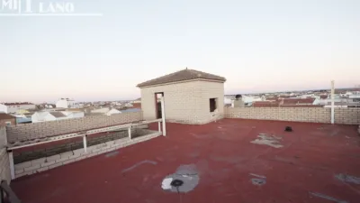 Miniatura 7