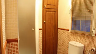 Miniatura 10