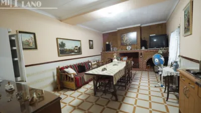 Miniatura 12