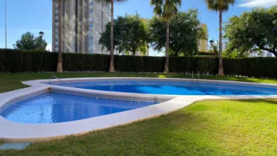 Pis – Benidorm - Vista 3