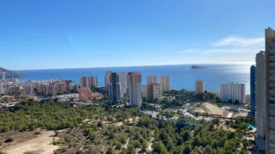 Apartment in Levante photo 51