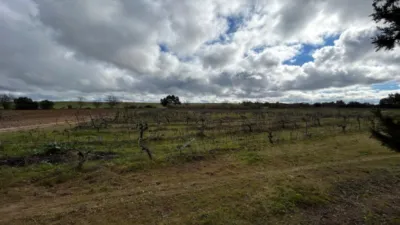 Casa en venta en Urb. Ctra. de Olivenza, Centro Histórico (Badajoz Capital) de 649.990 €