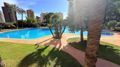 Apartment in Via Parque photo 17
