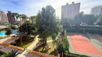 Apartment in Via Parque photo 2