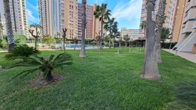 Apartment in Rincon de Loix Llano photo 22