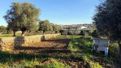 Finca rústica en venta en Avenida de Portugal, Nueva Ciudad (Mérida) de 390.000 €