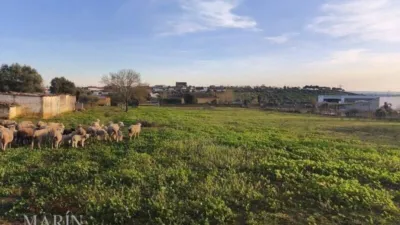 Finca rústica en venta en Avenida de Portugal, Nueva Ciudad (Mérida) de 390.000 €
