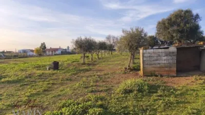 Finca rústica en venta en Avenida de Portugal, Nueva Ciudad (Mérida) de 390.000 €