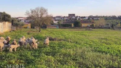 Finca rústica en venta en Avenida de Portugal, Nueva Ciudad (Mérida) de 390.000 €