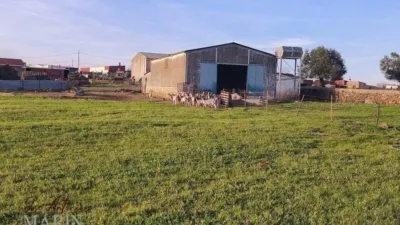 Finca rústica en venta en Avenida de Portugal, Nueva Ciudad (Mérida) de 390.000 €
