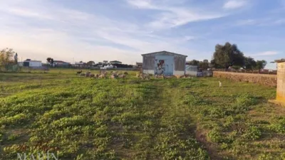 Finca rústica en venta en Avenida de Portugal, Nueva Ciudad (Mérida) de 390.000 €
