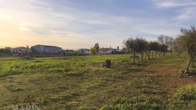Finca rústica en venta en Avenida de Portugal, Nueva Ciudad (Mérida) de 390.000 €