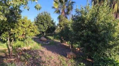 Finca rústica en venta en Avenida de Portugal, Nueva Ciudad (Mérida) de 390.000 €