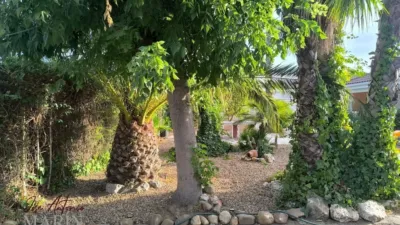 Casa - Vista 4