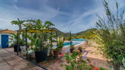 Chalet in Monda photo 12