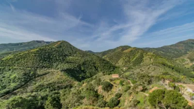 Chalet in Monda photo 23