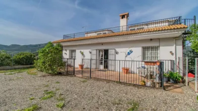 Chalet in Monda photo 24