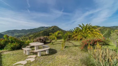 Chalet in Monda photo 28
