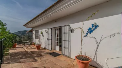 Chalet in Monda photo 29