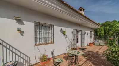 Chalet in Monda photo 31