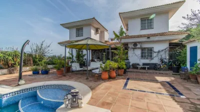 Chalet in Monda photo 5