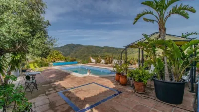 Chalet in Monda photo 8