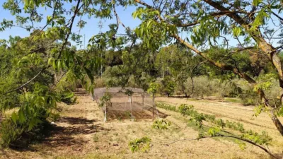 Rustic Finca in Posadas photo 3