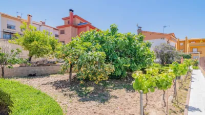 House on Calle Hortensia, 24 photo 63