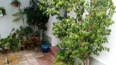 House for sale in Antonio Vega photo 6
