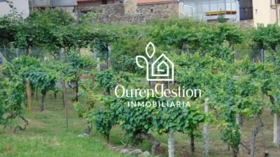 Finca rústica en venta en San Cibrao Das Viñas, A Casanova (San Cibrao Das Viñas). Municipio de San Cibrao das Viñas de 90.000 €