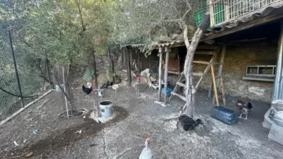 Rustic finca in Benaocaz photo 13