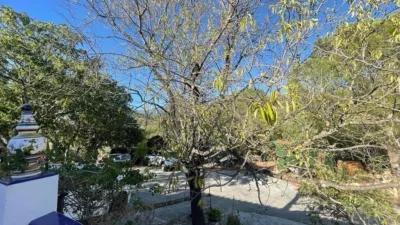 Rustic finca in Benaocaz photo 16