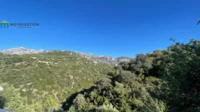 Rustic finca in Benaocaz photo 19