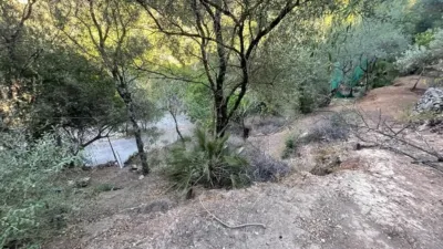 Rustic finca in Benaocaz photo 21