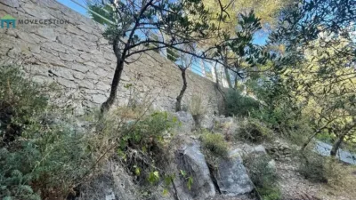 Rustic finca in Benaocaz photo 23