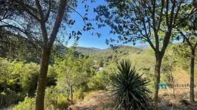 Rustic finca in Benaocaz photo 24